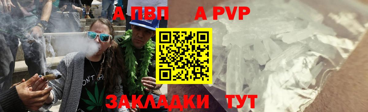A PVP СК  Альфа ПВП крисы CK  Вход с VPN  Вичуга  Alfa_PVP  A PVP СК КРИС 
