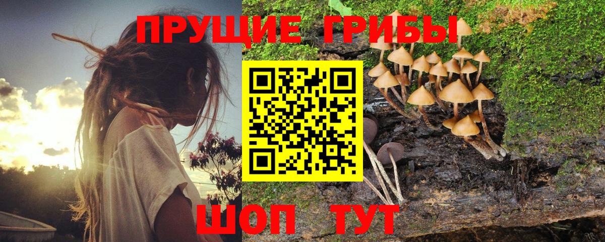 Псилоцибиновые грибы мухоморы  Вход с VPN  Вичуга 