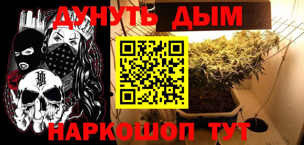 Марихуана Bruce Banner  Канабис планчик  Вход с VPN  Вичуга  МАРИХУАНА OG Kush  Каннабис индика 